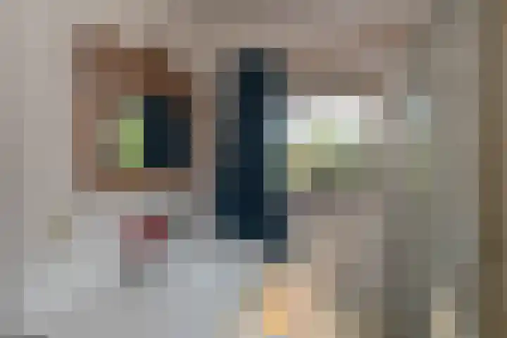 Enterveenweg 6 Rijssen thumbnail 28