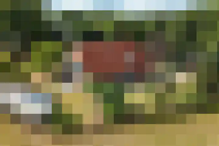 Enterveenweg 6 Rijssen foto 3