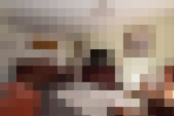 Enterveenweg 6 Rijssen thumbnail 32