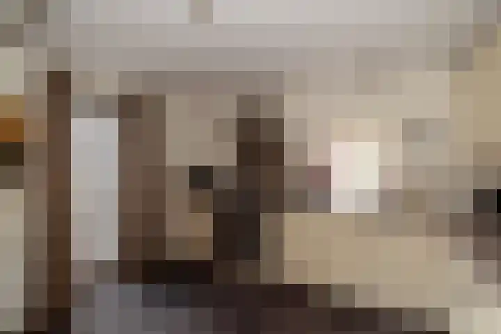 Enterveenweg 6 Rijssen thumbnail 35