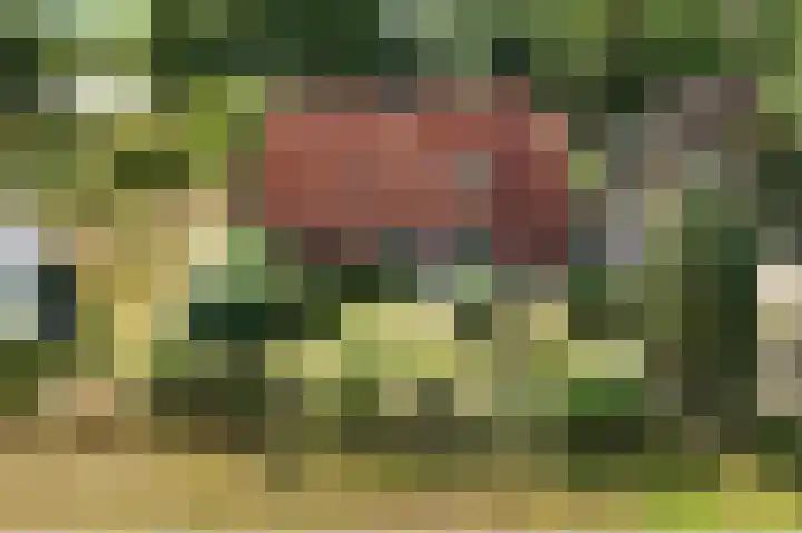 Enterveenweg 6 Rijssen thumbnail 4