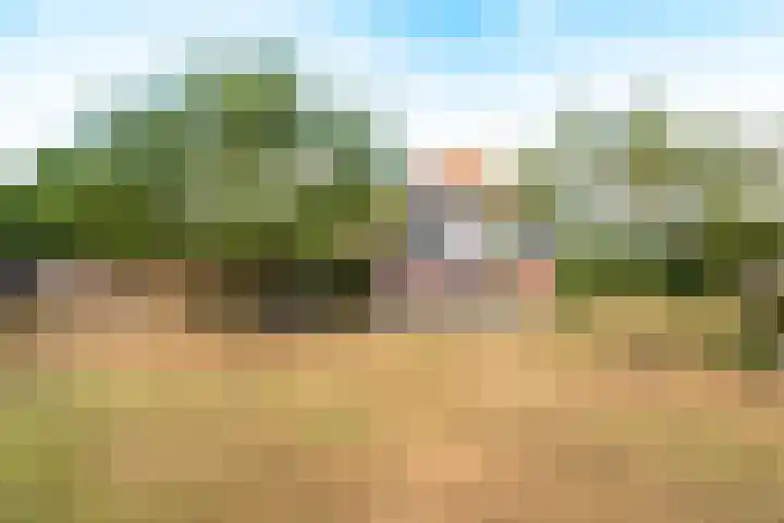 Enterveenweg 6 Rijssen thumbnail 40