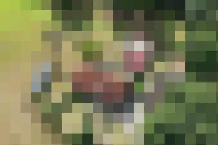 Enterveenweg 6 Rijssen thumbnail 41
