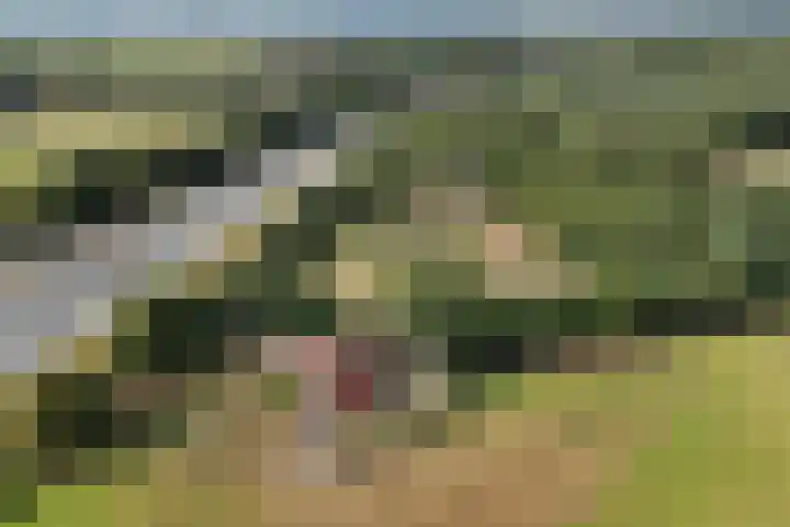 Enterveenweg 6 Rijssen thumbnail 42