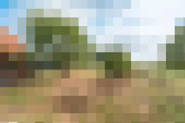 Enterveenweg 6 Rijssen thumbnail 43