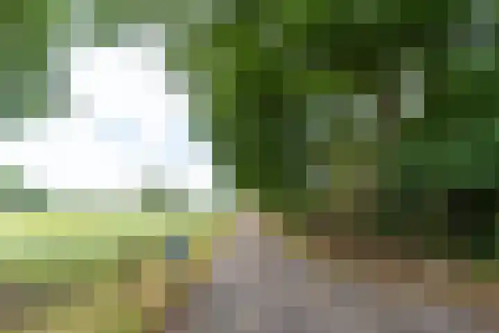 Enterveenweg 6 Rijssen thumbnail 46