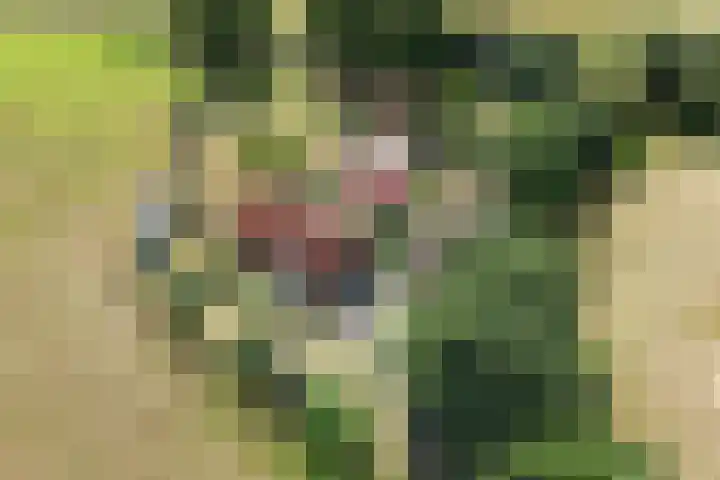 Enterveenweg 6 Rijssen thumbnail 5