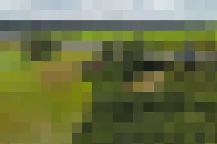 Enterveenweg 6 Rijssen thumbnail 6