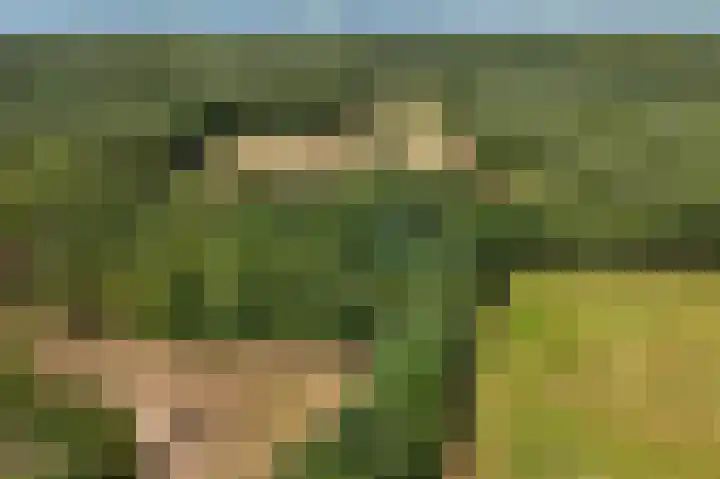 Enterveenweg 6 Rijssen thumbnail 7