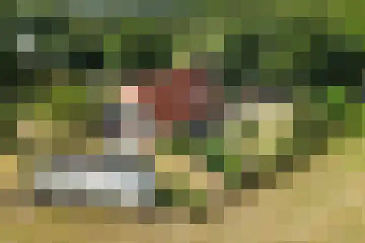 Enterveenweg 6 Rijssen thumbnail 8