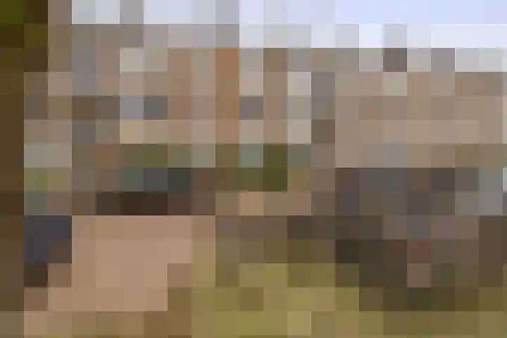 Enthofstraat 16 2 Utrecht thumbnail 30