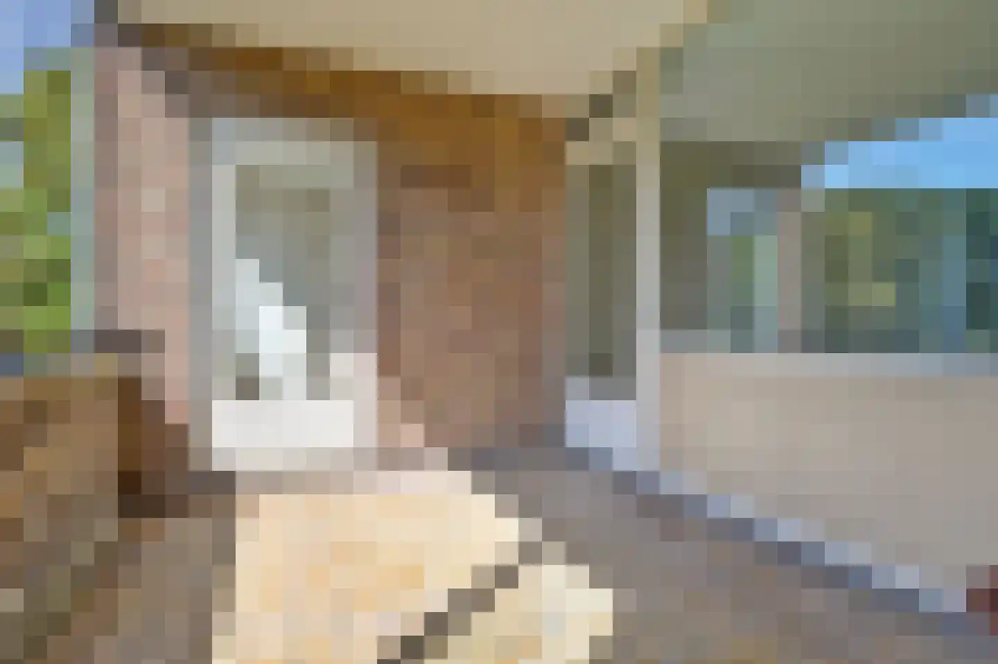 Enthofstraat 24 1 Utrecht thumbnail 10