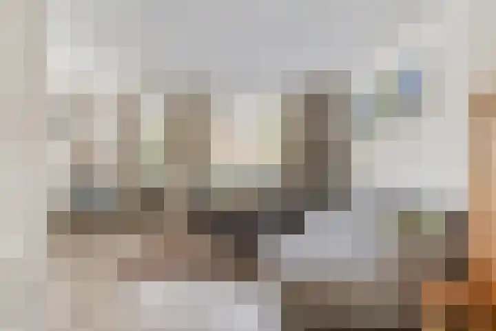 Entinge 122 Zuidlaren thumbnail 11