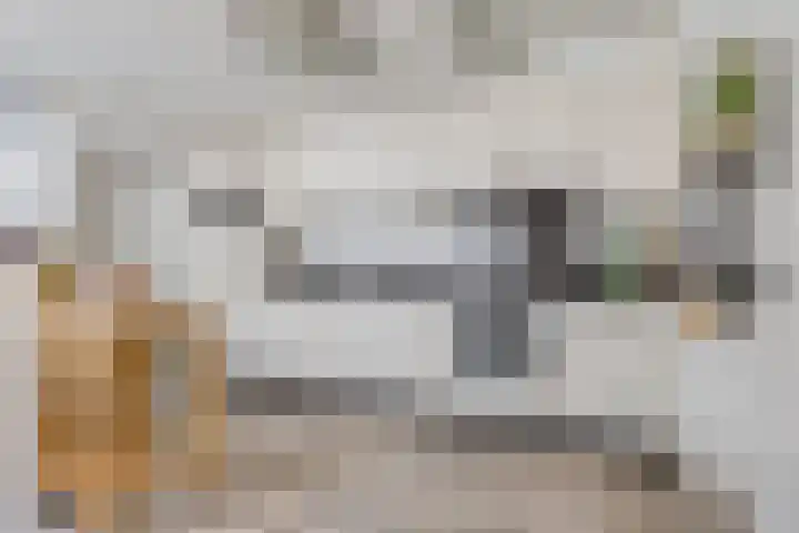 Entinge 122 Zuidlaren thumbnail 17