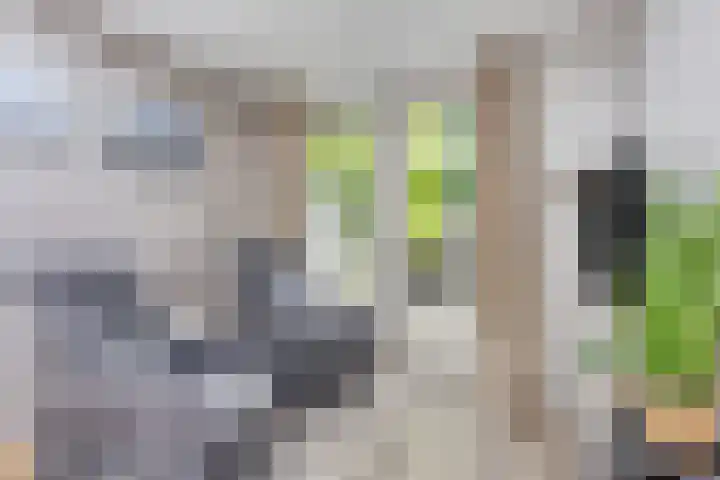 Entinge 122 Zuidlaren thumbnail 20