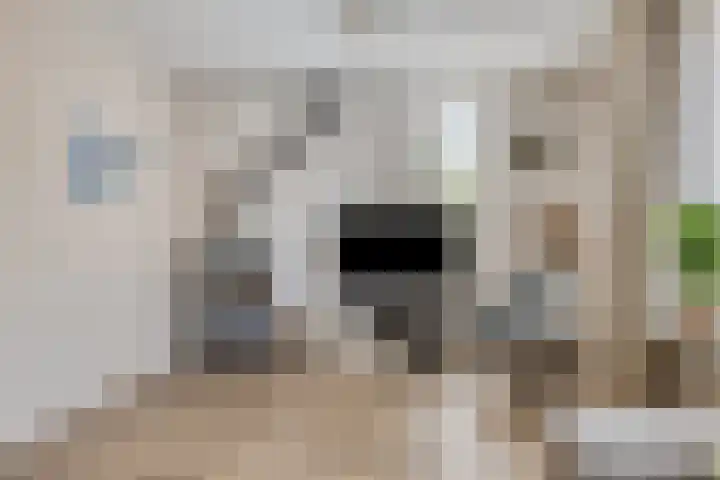 Entinge 122 Zuidlaren thumbnail 21