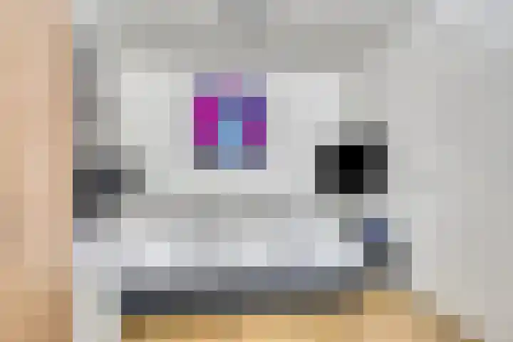 Entinge 122 Zuidlaren thumbnail 24