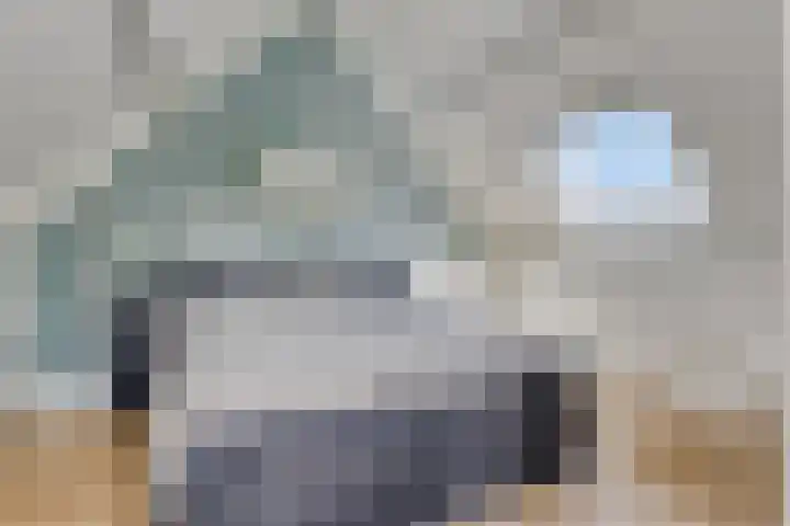 Entinge 122 Zuidlaren thumbnail 33