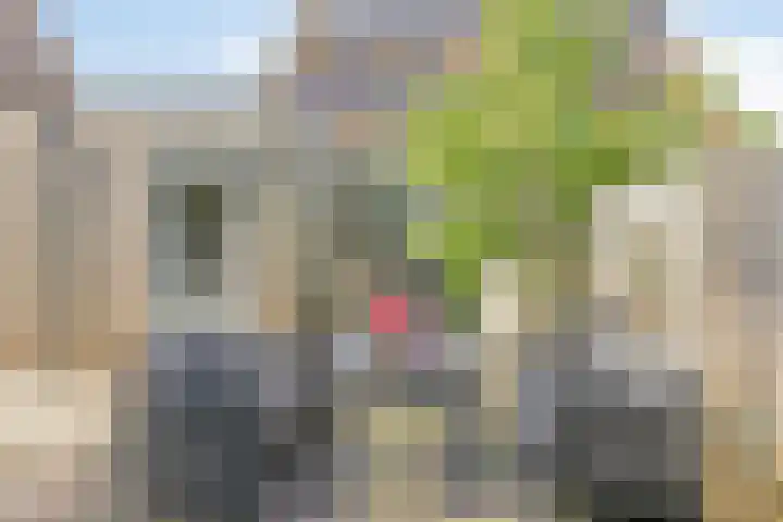 Entinge 122 Zuidlaren thumbnail 36