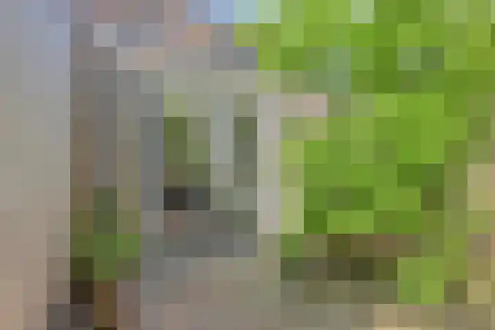 Entinge 122 Zuidlaren thumbnail 37