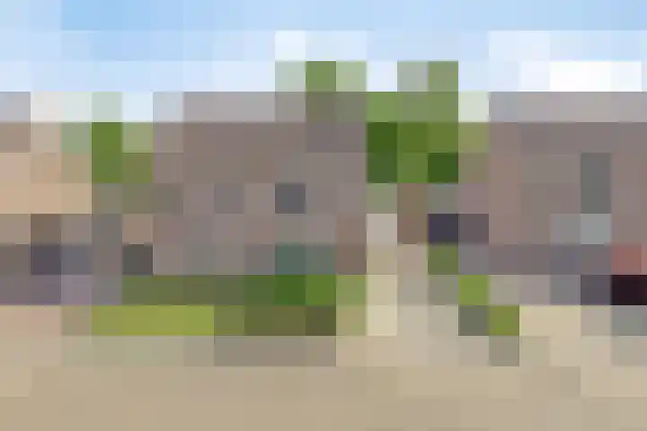 Entinge 122 Zuidlaren thumbnail 41