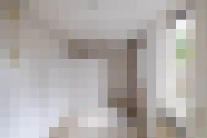 Entinge 17 Roden thumbnail 13