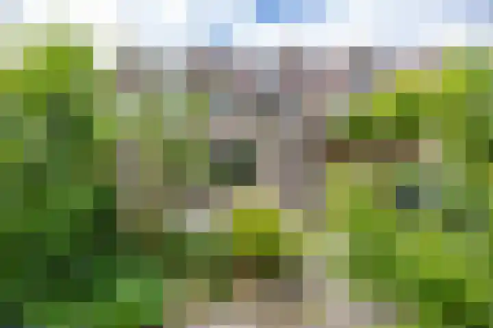 Entinge 17 Roden thumbnail 29