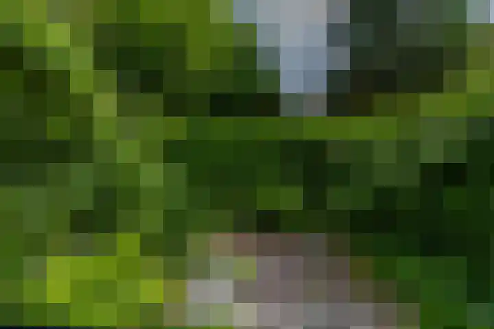 Entinge 17 Roden thumbnail 31