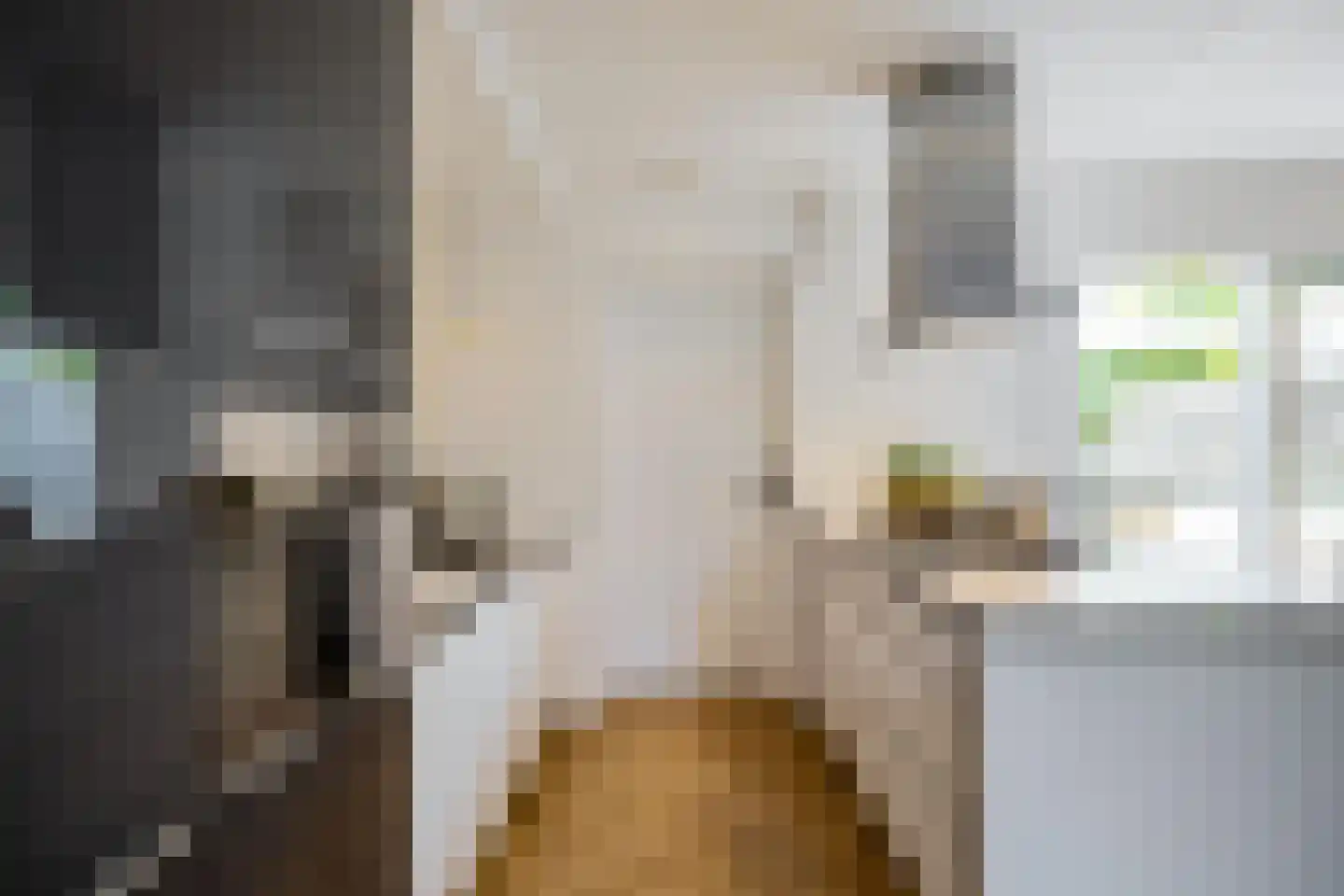 Entinge 20 Roden thumbnail 10