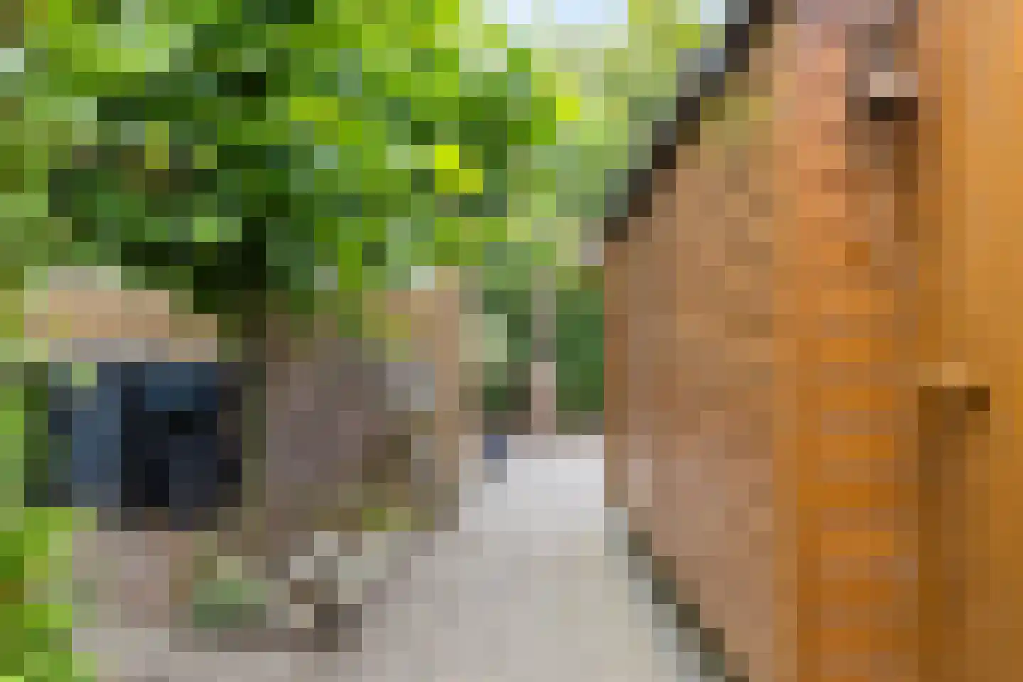 Entinge 20 Roden thumbnail 24