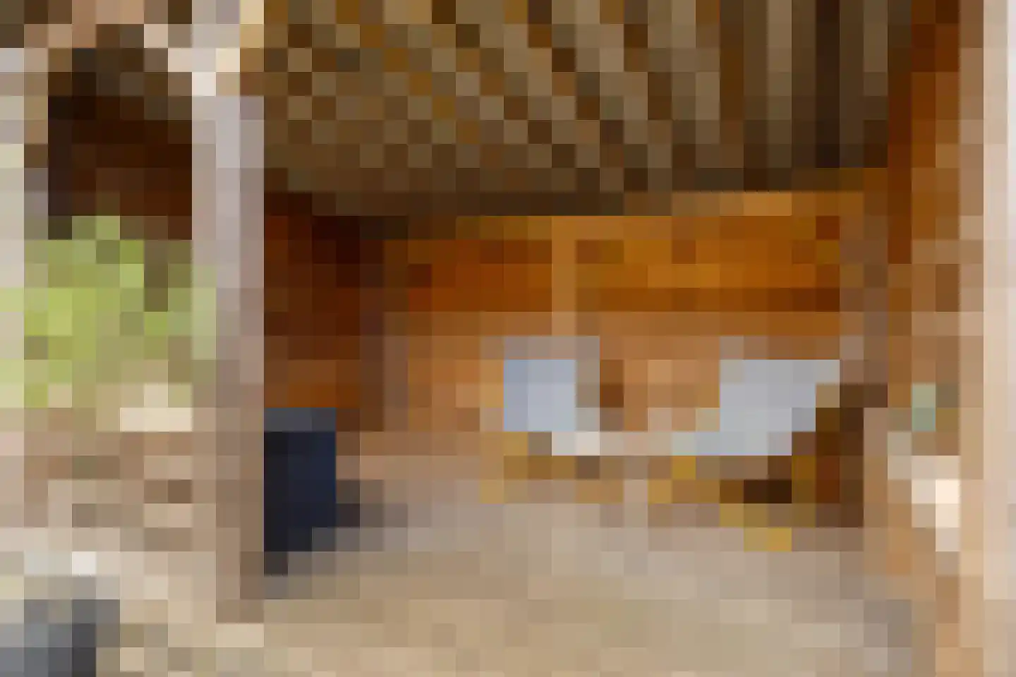 Entinge 20 Roden thumbnail 25
