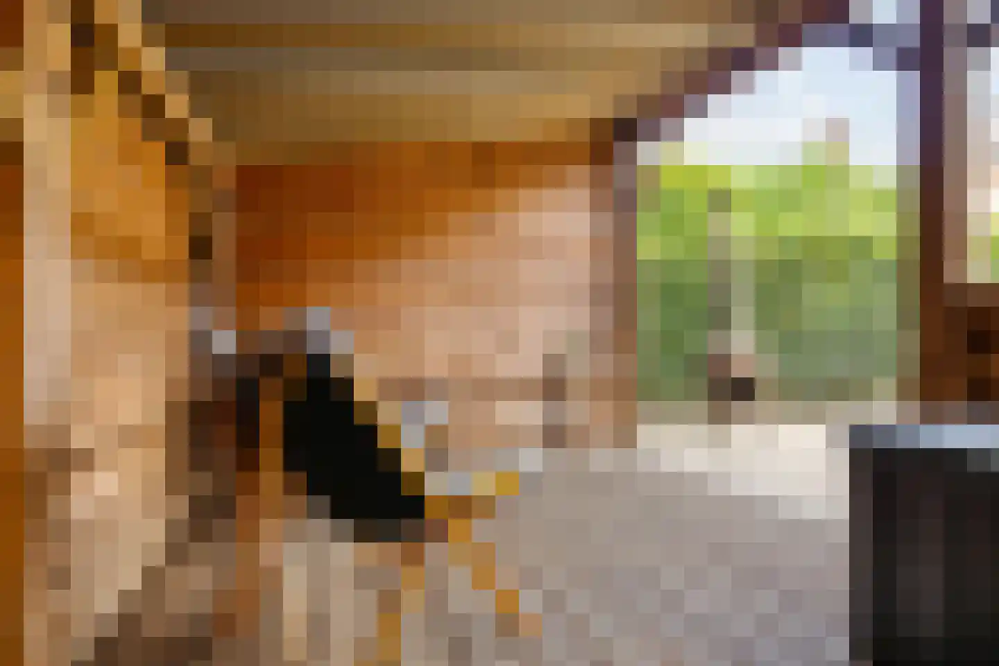 Entinge 20 Roden thumbnail 26