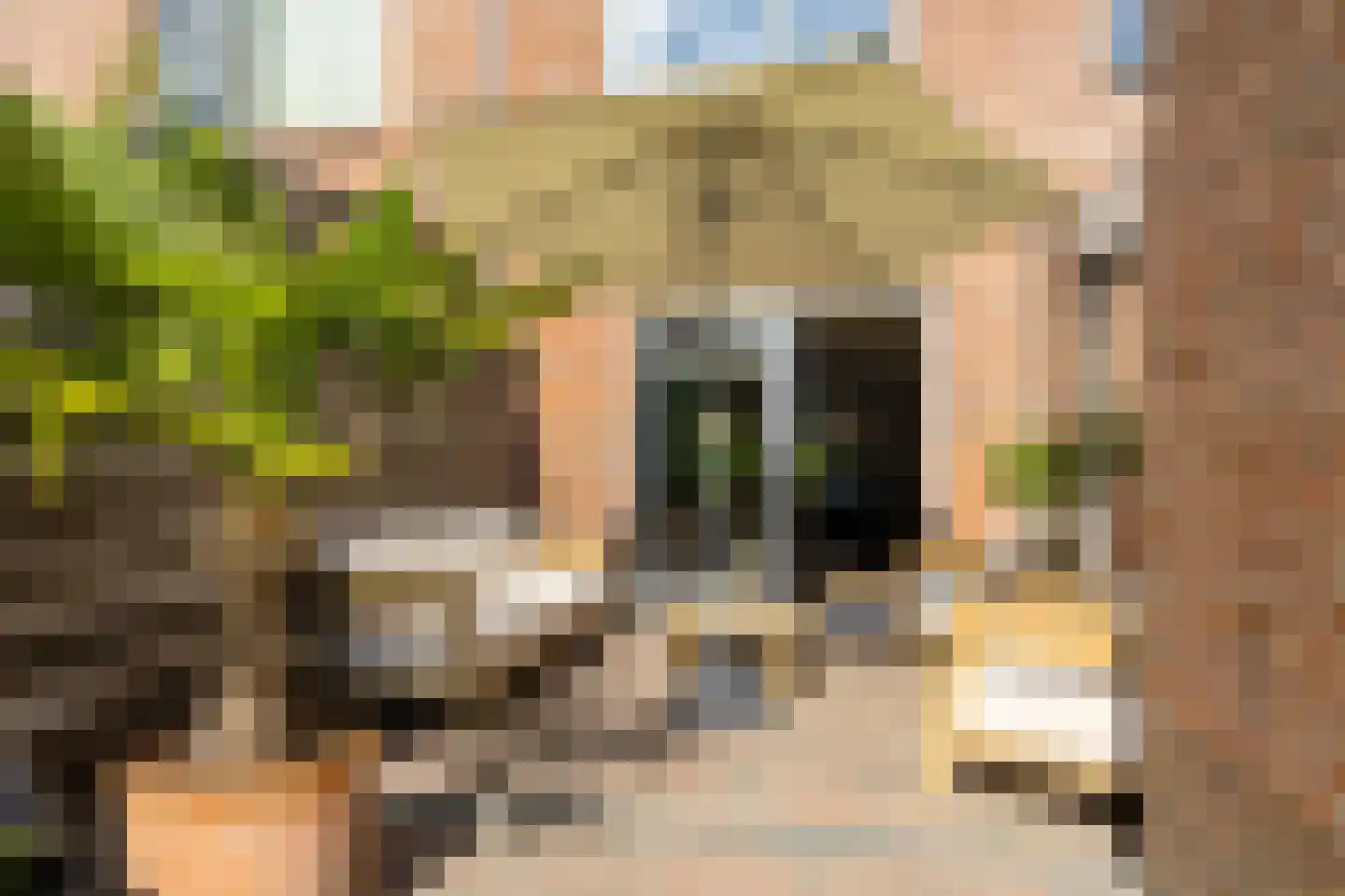 Entinge 20 Roden thumbnail 30