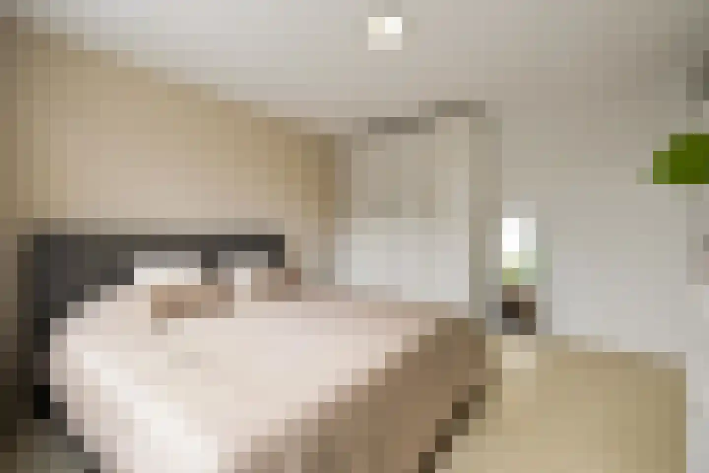 Entinge 20 Roden thumbnail 35