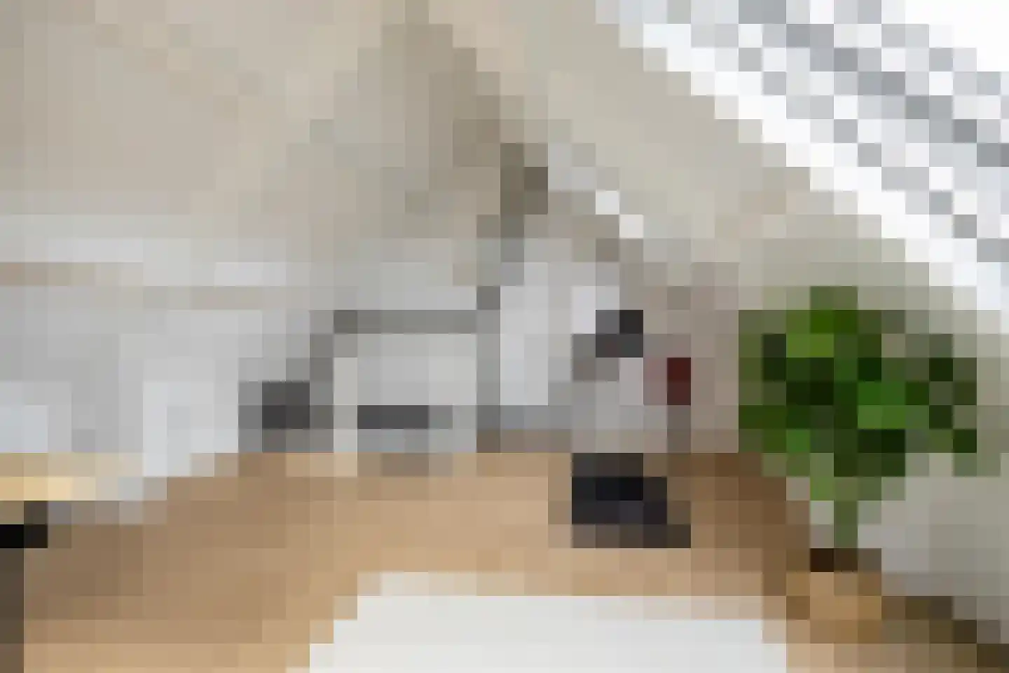 Entinge 20 Roden thumbnail 42