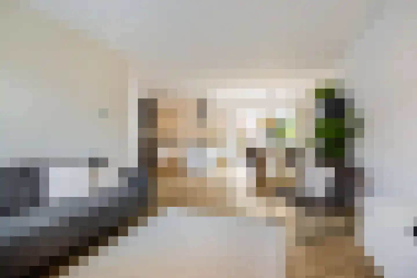 Entinge 20 Roden thumbnail 8