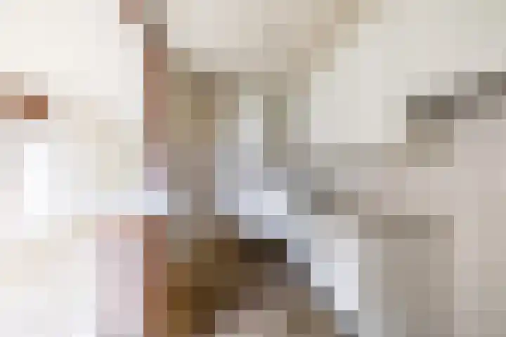 Entinge 31 Roden thumbnail 15