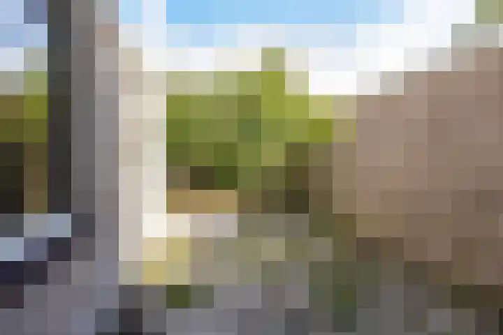 Entinge 31 Roden thumbnail 20