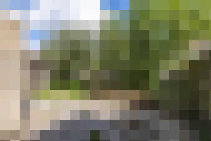 Entinge 31 Roden thumbnail 21