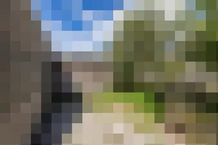 Entinge 31 Roden thumbnail 22