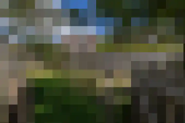 Entinge 31 Roden thumbnail 23