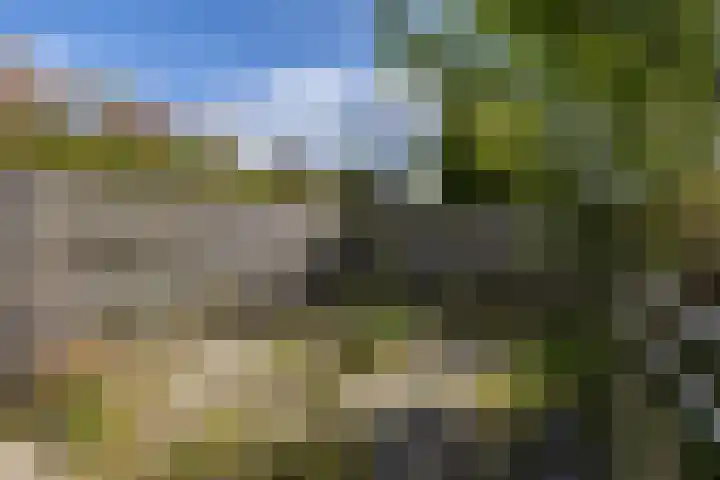 Entinge 31 Roden thumbnail 24