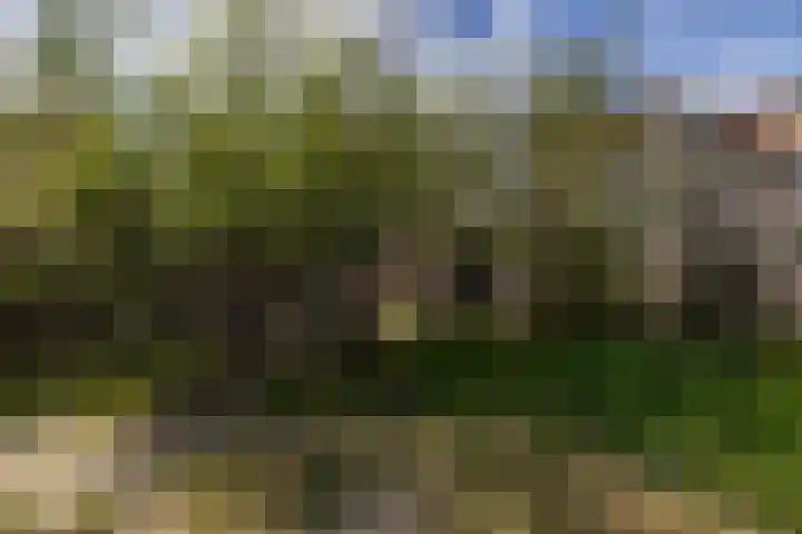 Entinge 31 Roden thumbnail 25