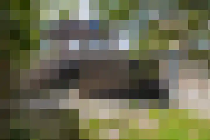 Entinge 31 Roden thumbnail 26