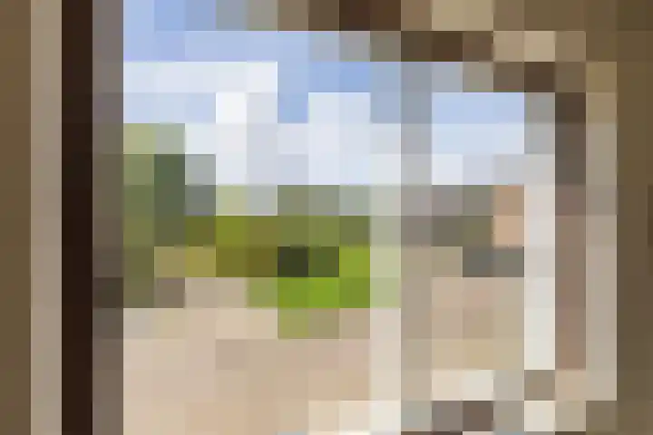 Entinge 31 Roden thumbnail 32