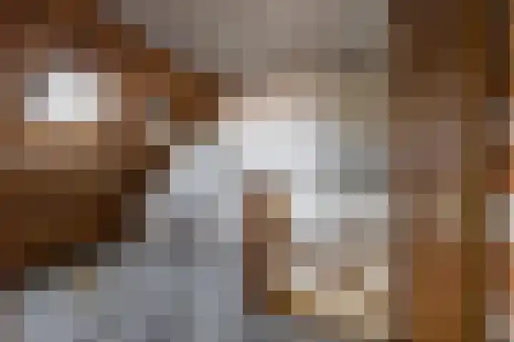 Entinge 31 Roden thumbnail 38