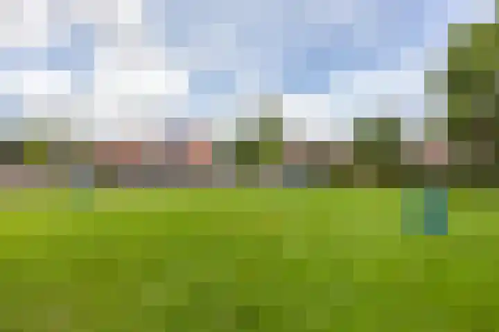 Entinge 31 Roden thumbnail 48