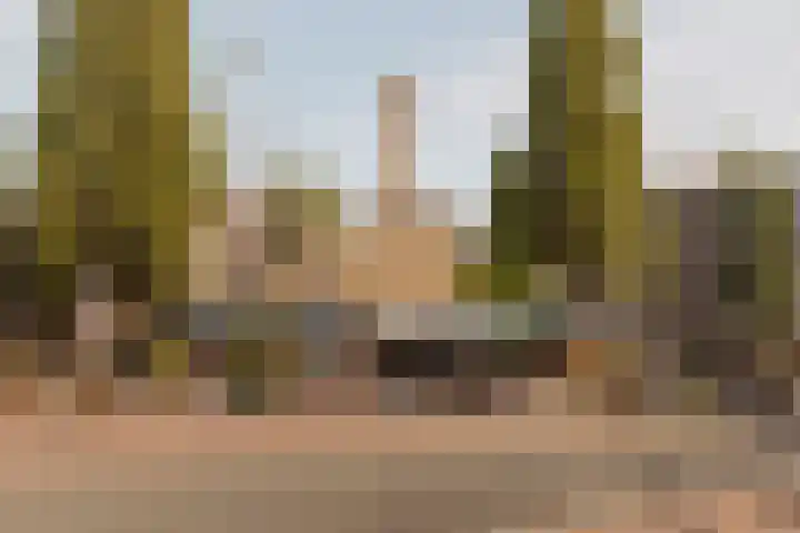 Entinge 31 Roden thumbnail 6