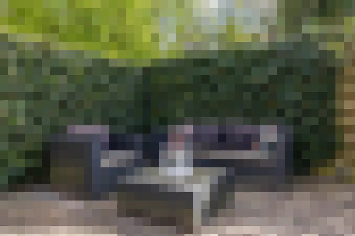 Entinge 45 Zuidlaren thumbnail 25