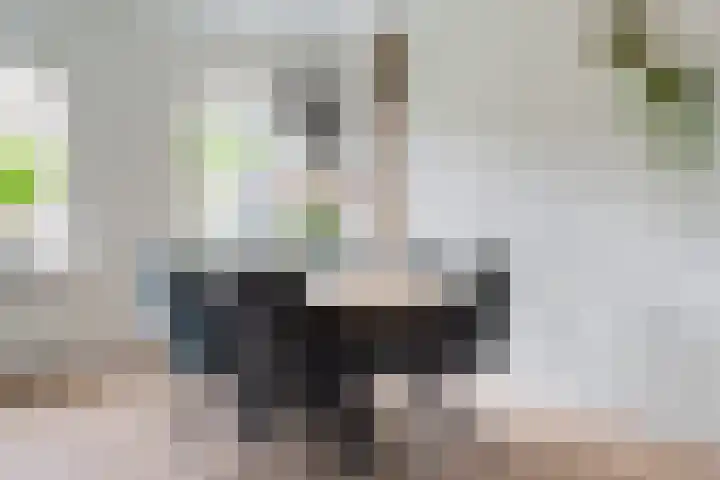 Entingestraat 13 Sleen thumbnail 15